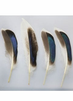 Y&D 150 PCS Duck Feathers, Natural for DIY Craft Art, Decor Carnival Halloween Handwork Clothing Costumes Hair Hats Crafts Home Wedding Party Decoration  - Image 4
