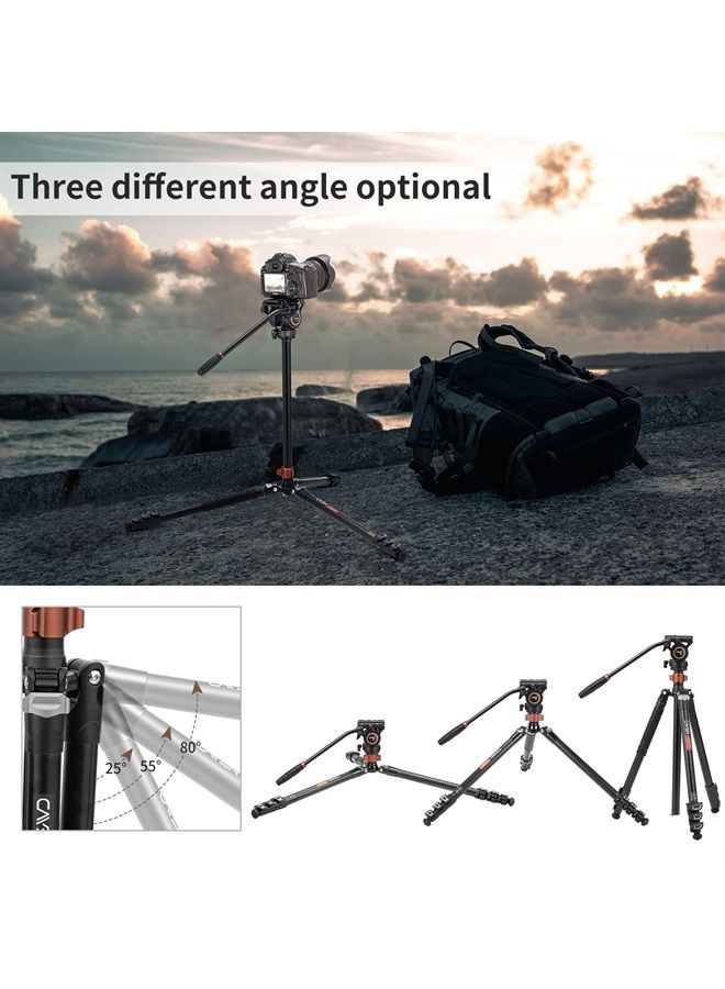 Cayer FP2450 Fluid Head Tripod, 75 inches Aluminium Tripod, 4-Section Compact Camera Tripod Convertible to Monopod for DSLR Camera, Load Capacity up to 13.2 Pounds