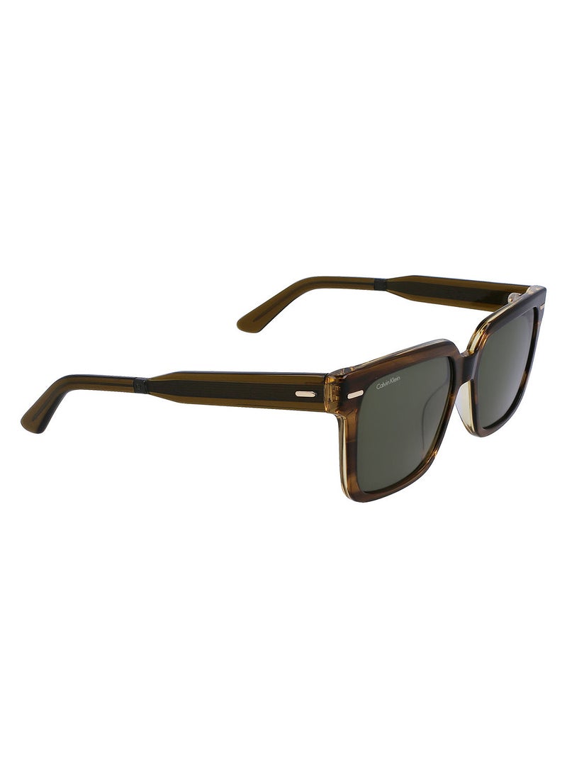 CALVIN KLEIN - Full Rim Acetate Rectangle Calvin Klein Sun Ck22535S 5517 (317) Striped Olive - Image 1