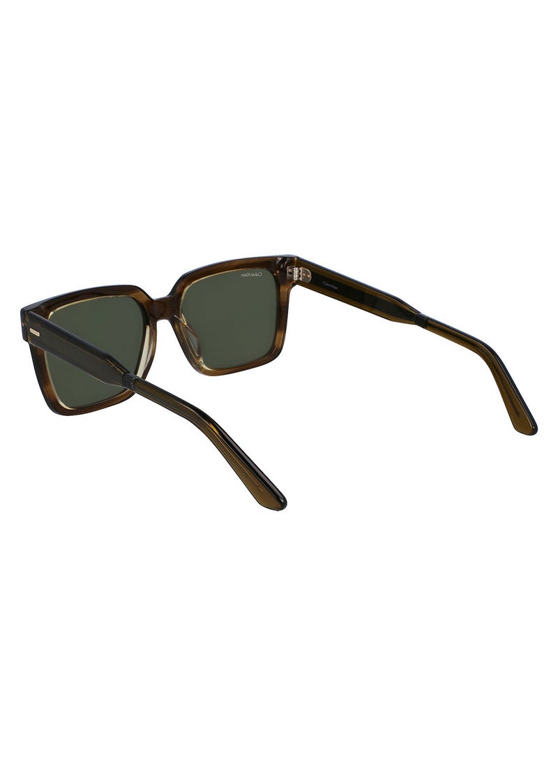 CALVIN KLEIN - Full Rim Acetate Rectangle Calvin Klein Sun Ck22535S 5517 (317) Striped Olive - Image 1
