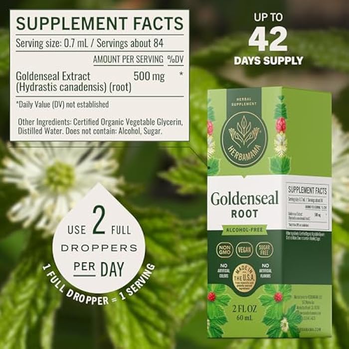 HERBAMAMA Goldenseal Root Tincture - Vegan Immune & Respiratory Support with Goldenseal Herb Extract Drops - Non-GMO, Alcohol & Sugar-Free Liquid Immunity Supplement, 42-Day Supply - Image 3