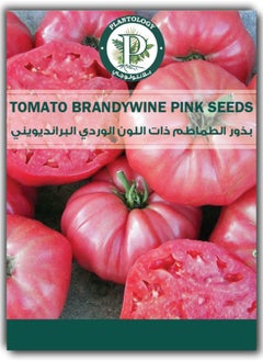 Tomato Brandywine Pink Seeds - Pink Tomato Seeds
