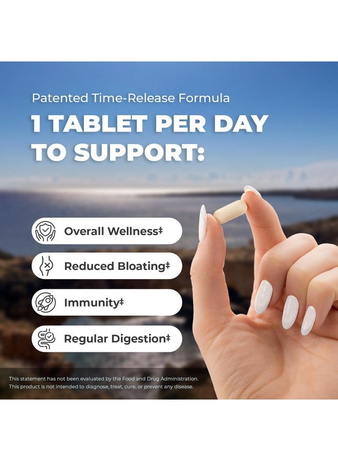 بالانس ون بروبيوتيك Balance ONE للنساء والرجال - قدرة بقاء أفضل بـ 15 مرة مقارنةً بالكبسولات - بروبيوتيك بـ 15 مليار وحدة تشكيل مستعمرة لصحة الأمعاء - 12 سلالة من Lactobacillus Plantarum وAcidophilus وSalivarius - 60 قرصًا  - Image 5