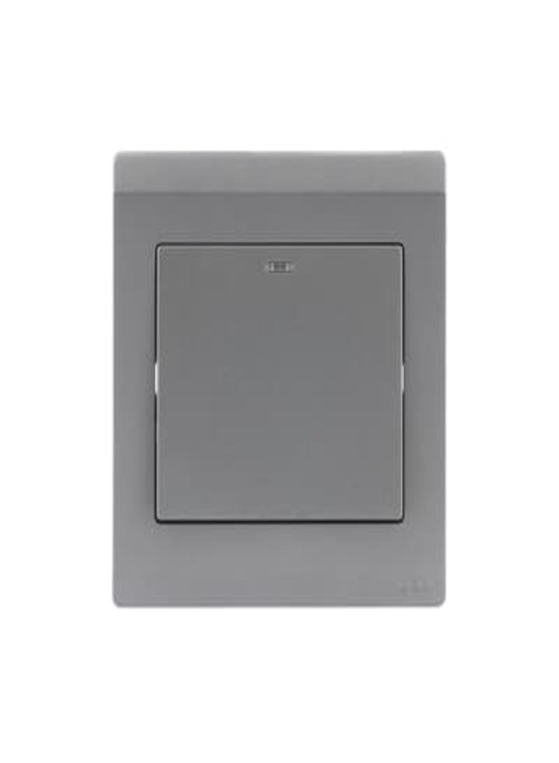 أبب BL111-G، مفتاح DP أحادي الاتجاه 20AX مع نيون، لون رمادي كلاسيكي