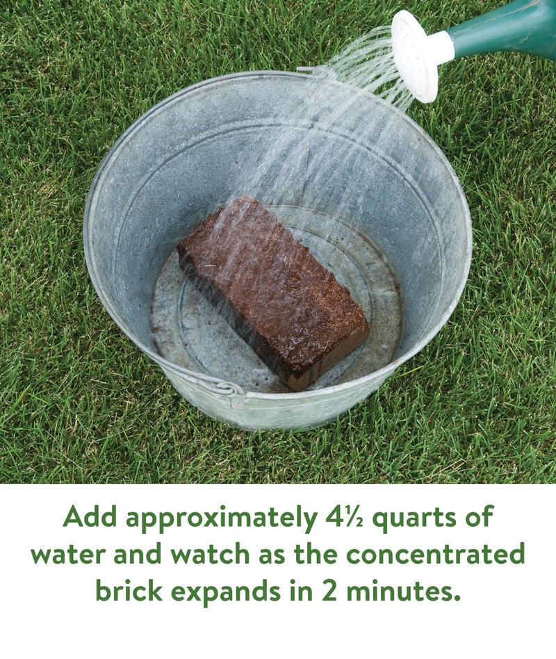 Burpee Organic Coconut Coir Concentrated Seed Starting Mix, 16 Quart - Image 5