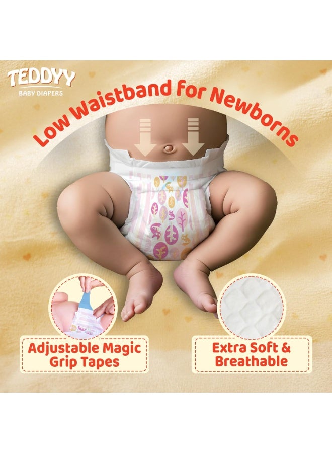 TEDDYY Baby Diapers Tapes Arabic Premium New Born 66 Count (Pack of 2), 2-5 kgs, High Absorbency, Anti - Bacterial - Image 3