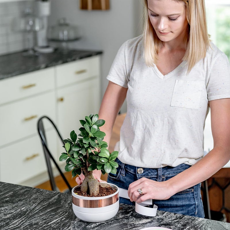 ELK شريط نحاسي ELK - 1 بوصة × 66 قدم - مع لاصق موصل للجيتار، الحرف، الإصلاحات الكهربائية والتأريض - شريط نحاسي موصل - Image 5