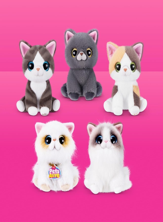 Pets Alive Smitten Kittens Series 2 (British Shorthair) by ZURU - Interactive Plush Cat Toy with 10 Sounds, Surprise Unboxing, Soft Collectible Pet for Ages 3+ - Image 4