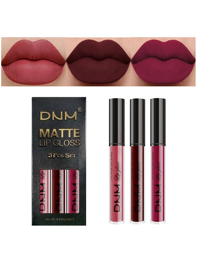 DNM 3Pcs Red Matte Liquid Lipstick Sets for Women Lip Stain Matte Long Lasting Lipstick Waterproof, Dark red Purple Rose pink Lipstick Lip Stick Gloss Packs Matte - Image 1