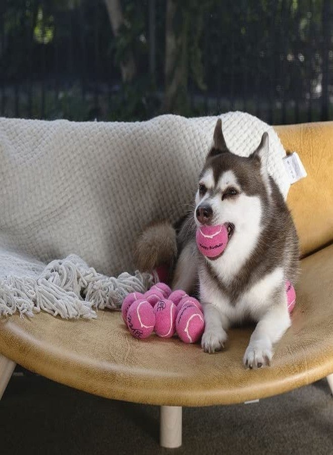 Midlee Happy Birthday Dog Tennis Balls (12 Pack) (Small, Pink) - Image 5