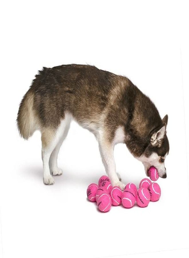 Midlee Happy Birthday Dog Tennis Balls (12 Pack) (Small, Pink) - Image 2