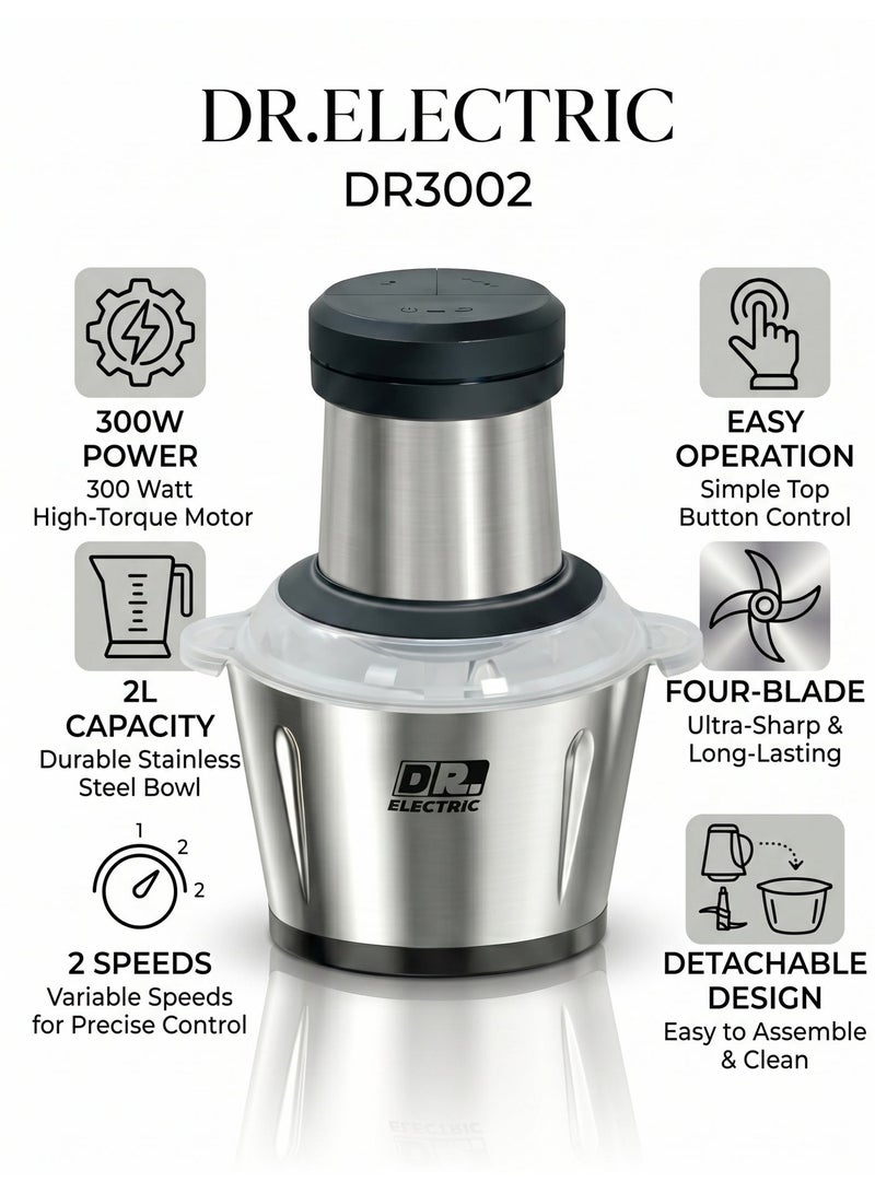 DR.ELECTRIC Electric Meat and Vegetable Chopper, Stainless Steel, 2 Liters, 300 Watts, DR3002 - Image 1