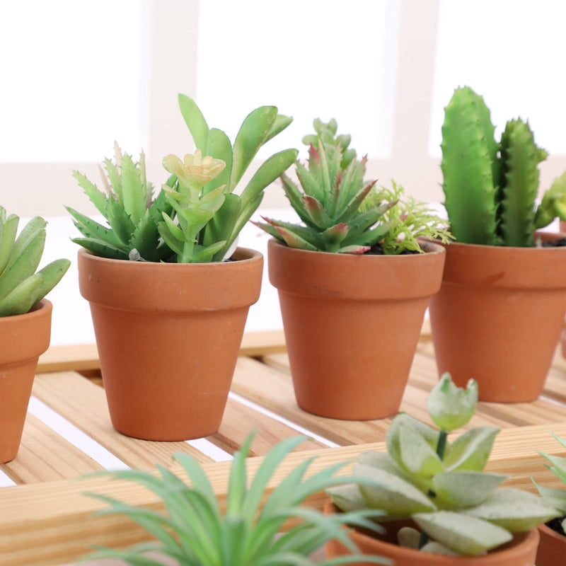 Yishang 2.5 inch Terracotta Pots with Drainage Holes,Small Mini Clay Ceramic Pottery Planter,Cactus Flower Terra Cotta Pots,Succulents Nursery Pots for Indoor/Outdoor Plants,Crafts,Wedding-12 Pack - Image 4