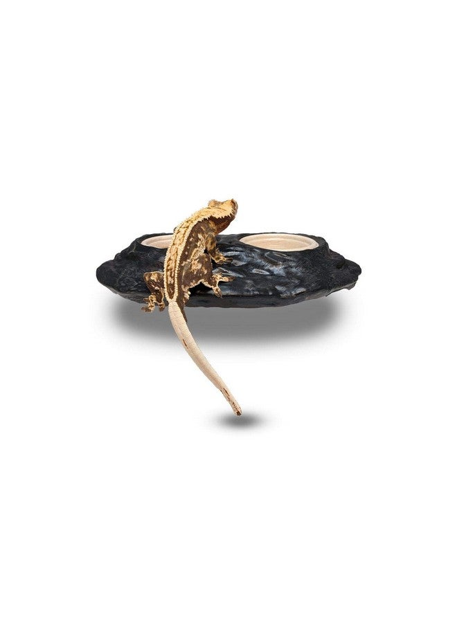 Pangea Ultimate Gecko Ledge - Magnetic Reptile Feeder  - Image 2