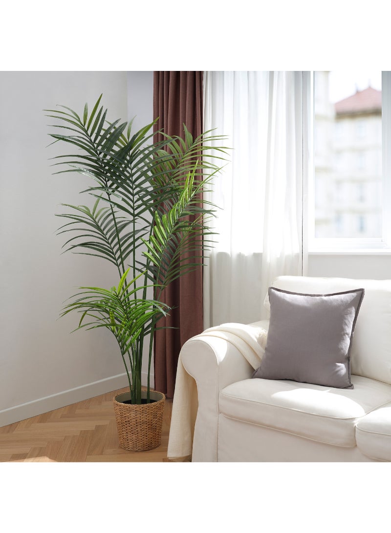 IKEA FRAKTA Artificial potted plant - in/outdoor Kentia palm - 23 cm - Image 2