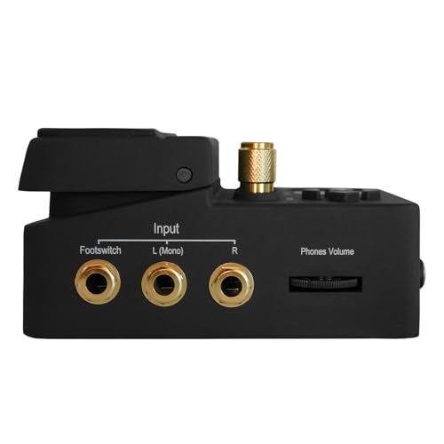 Singular Sound BeatBuddy 10th Anniversary Edition the Only Drum Machine That sounds Human and is Easy To Use - Image 5