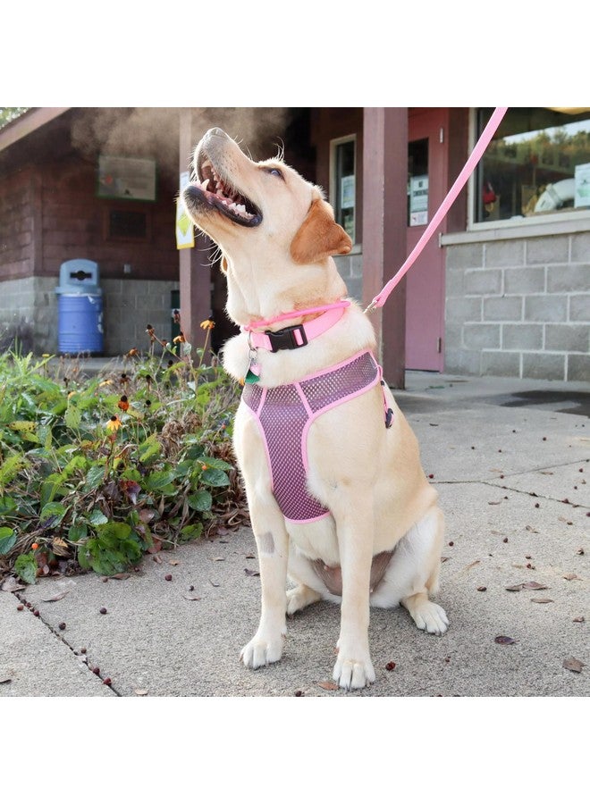 Coastal Pet Comfort Soft Sport Wrap Adjustable Dog Harness - Large & Small Dog Harness - Durable Harness for Dogs with Mesh Chest Pad - Grey with Blue, 5/8" x 16-24" - Image 3