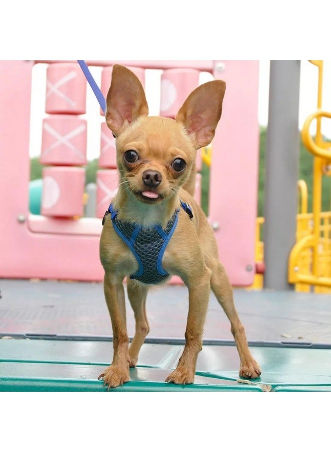 Coastal Pet Comfort Soft Sport Wrap Adjustable Dog Harness - Large & Small Dog Harness - Durable Harness for Dogs with Mesh Chest Pad - Grey with Blue, 5/8" x 16-24" - Image 2