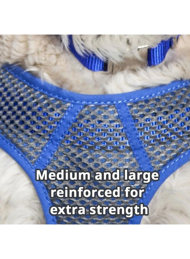 Coastal Pet Comfort Soft Sport Wrap Adjustable Dog Harness - Large & Small Dog Harness - Durable Harness for Dogs with Mesh Chest Pad - Grey with Blue, 5/8" x 16-24" - Image 4