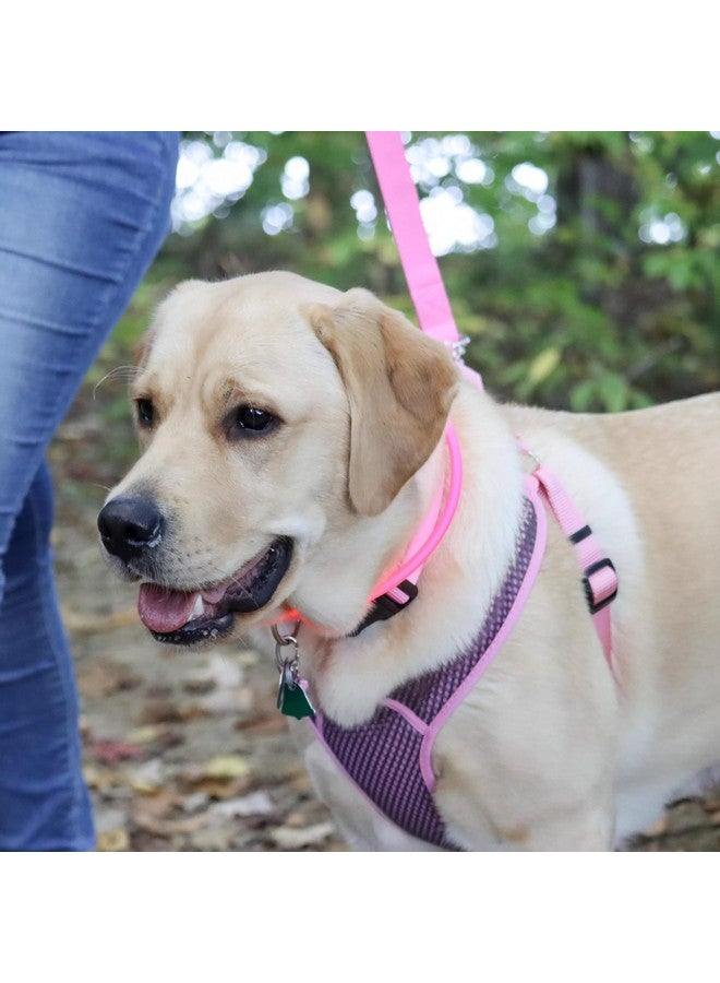 Coastal Pet Comfort Soft Sport Wrap Adjustable Dog Harness - Large & Small Dog Harness - Durable Harness for Dogs with Mesh Chest Pad - Grey with Blue, 5/8" x 16-24" - Image 5