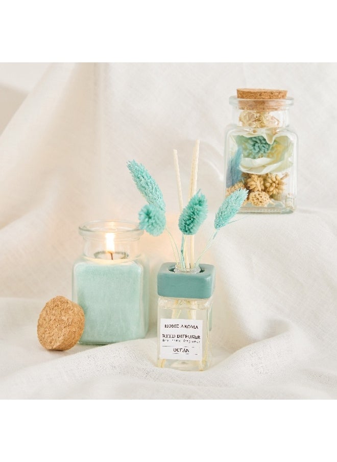 Seyna Ocean Jar Candle with Potpourri and Diffuser Gift Set 50 ml - pzsku/ZD299FE73CB8502463B0DZ/45/_/1729501995/3c0fe790-2483-471d-b2c8-72a3f2754f30