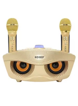 SD-306 Karaoke Machine Portable Speaker Bluetooth Karaoke Speaker With Dual Wireless Mic For Kids And Adults Wireless Speaker Karaoke Speaker With Microphone For Party Bluetooth Speaker Gold - pzsku/ZD29B916948A888BD29E9Z/45/_/1730821234/c1b5c0ff-ee05-46f7-a843-9976393c3750