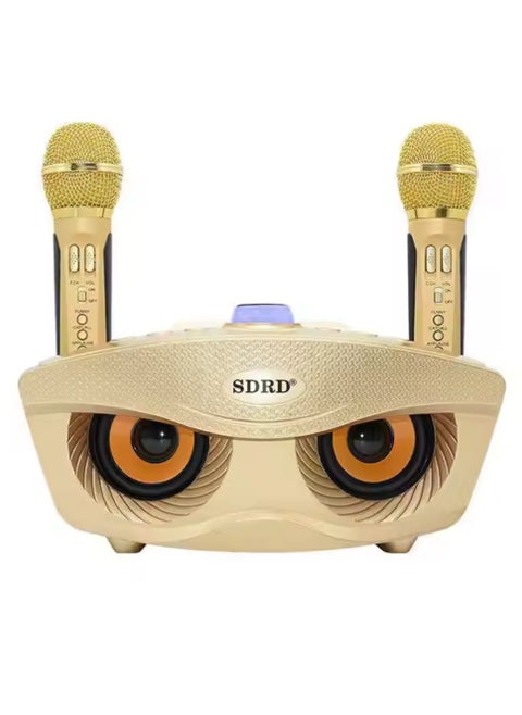 SD-306 Karaoke Machine Portable Speaker Bluetooth Karaoke Speaker With Dual Wireless Mic For Kids And Adults Wireless Speaker Karaoke Speaker With Microphone For Party Bluetooth Speaker Gold