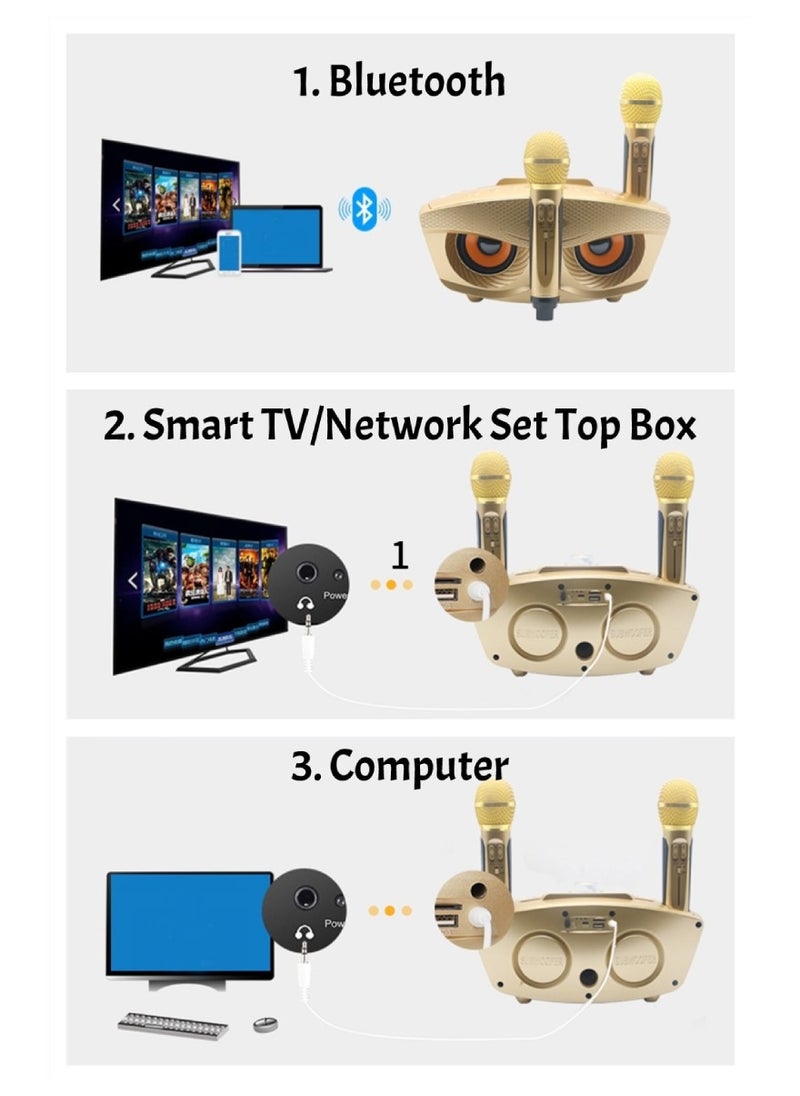 SDRD SD-306 Karaoke Machine Portable Speaker Bluetooth Karaoke Speaker With Dual Wireless Mic For Kids And Adults Wireless Speaker Karaoke Speaker With Microphone For Party Bluetooth Speaker Gold  - Image 2