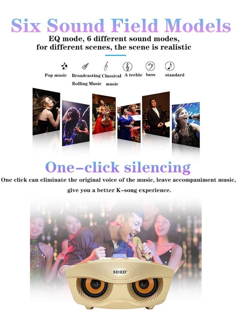 SDRD SD-306 Karaoke Machine Portable Speaker Bluetooth Karaoke Speaker With Dual Wireless Mic For Kids And Adults Wireless Speaker Karaoke Speaker With Microphone For Party Bluetooth Speaker Gold  - Image 5