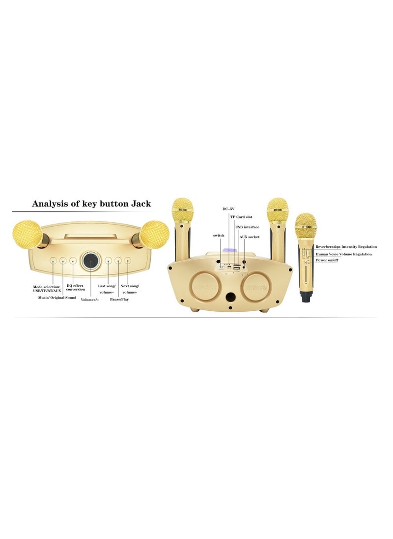 SD-306 Karaoke Machine Portable Speaker Bluetooth Karaoke Speaker With Dual Wireless Mic For Kids And Adults Wireless Speaker Karaoke Speaker With Microphone For Party Bluetooth Speaker Gold