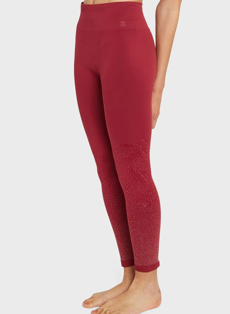 Yoga Searcher Dhiana Tights