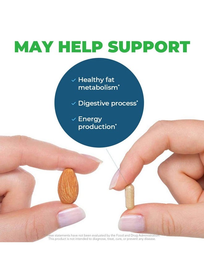 Seeking Health Ox Bile 125 Mg Digestive Enzyme Supplement Gallbladder Support Histamine Intolerance Support Vegetarian Capsules (120 Capsules)  - Image 5