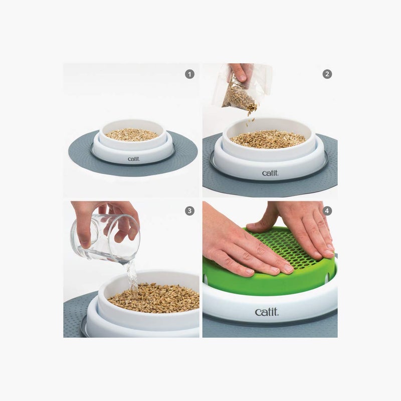 Catit Cat Toys Cat Grass Seeds (Set of 3) - Image 5