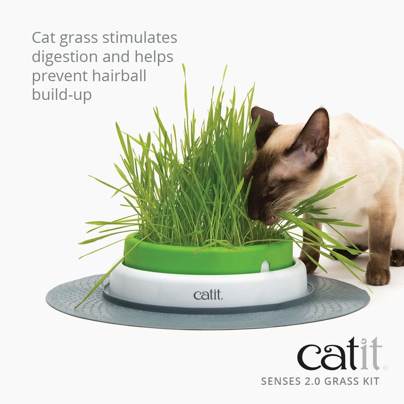 Catit Cat Toys Cat Grass Seeds (Set of 3) - Image 3