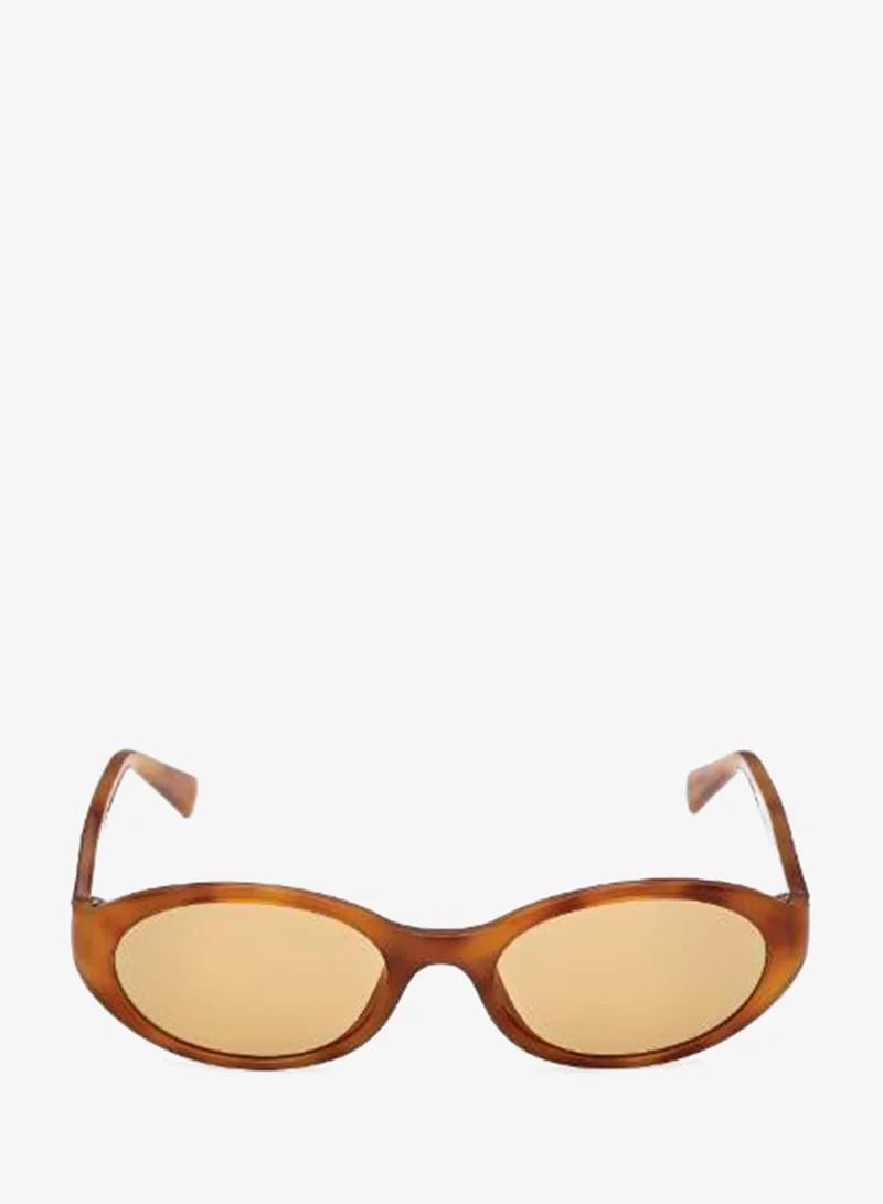 Oval Sunglasses
