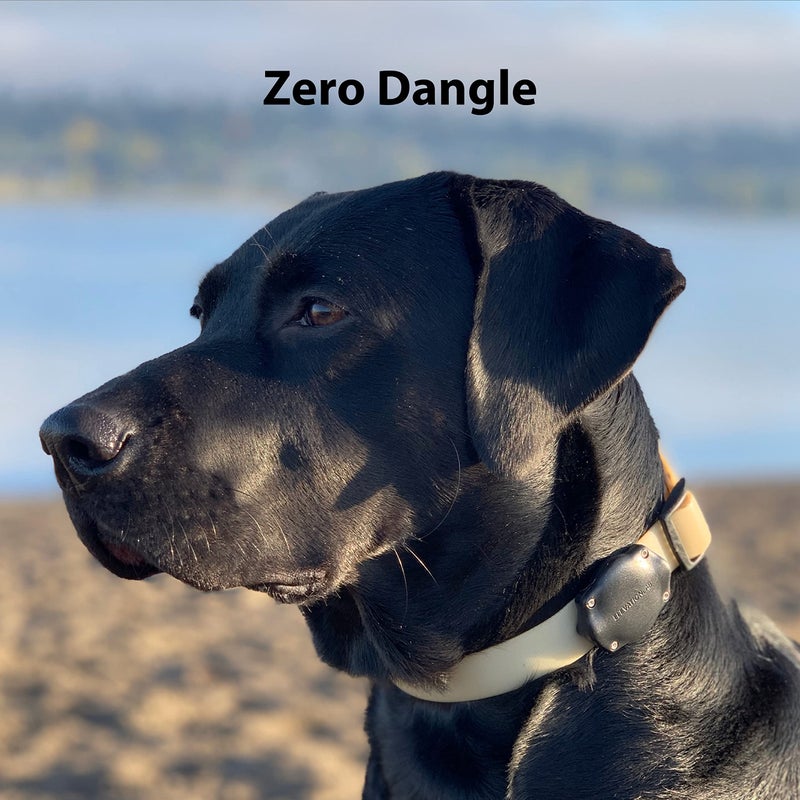 Elevation Lab TagVault AirTag Dog Collar Mount (Single) - IP69 Waterproof, Doesn't Dangle, Fits All Width Collars, Glow in The Dark - Image 2