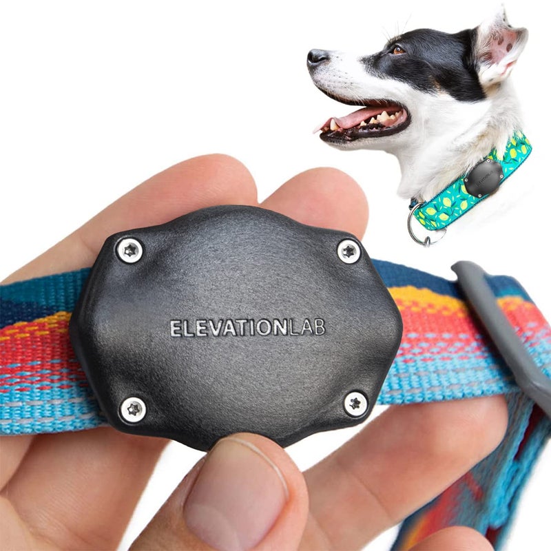 Elevation Lab TagVault AirTag Dog Collar Mount (Single) - IP69 Waterproof, Doesn't Dangle, Fits All Width Collars, Glow in The Dark - Image 1