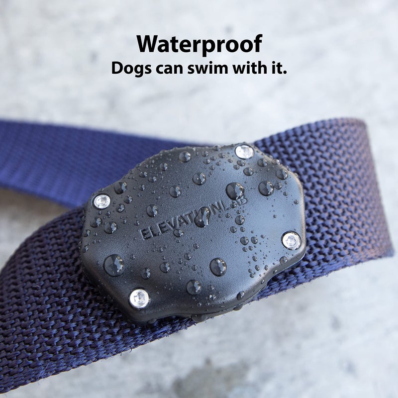 Elevation Lab TagVault AirTag Dog Collar Mount (Single) - IP69 Waterproof, Doesn't Dangle, Fits All Width Collars, Glow in The Dark - Image 4