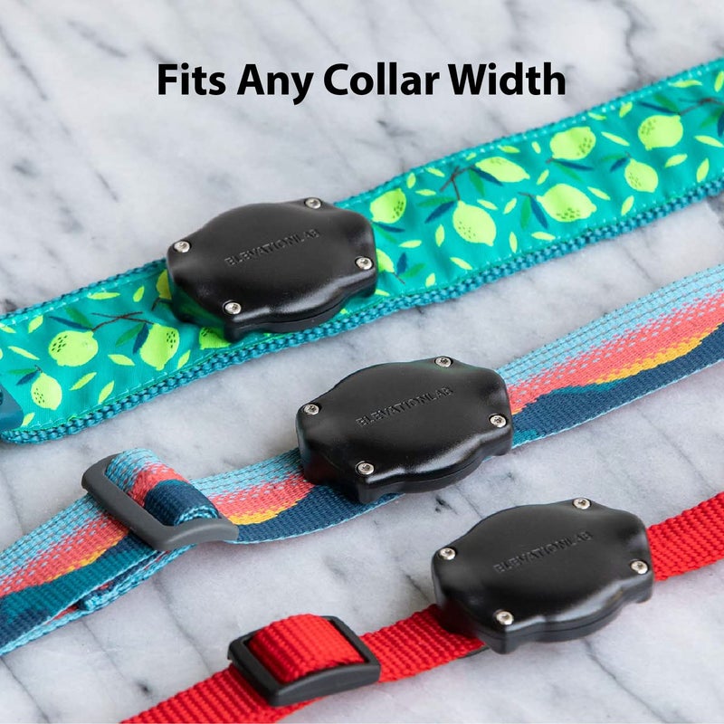 Elevation Lab TagVault AirTag Dog Collar Mount (Single) - IP69 Waterproof, Doesn't Dangle, Fits All Width Collars, Glow in The Dark - Image 5