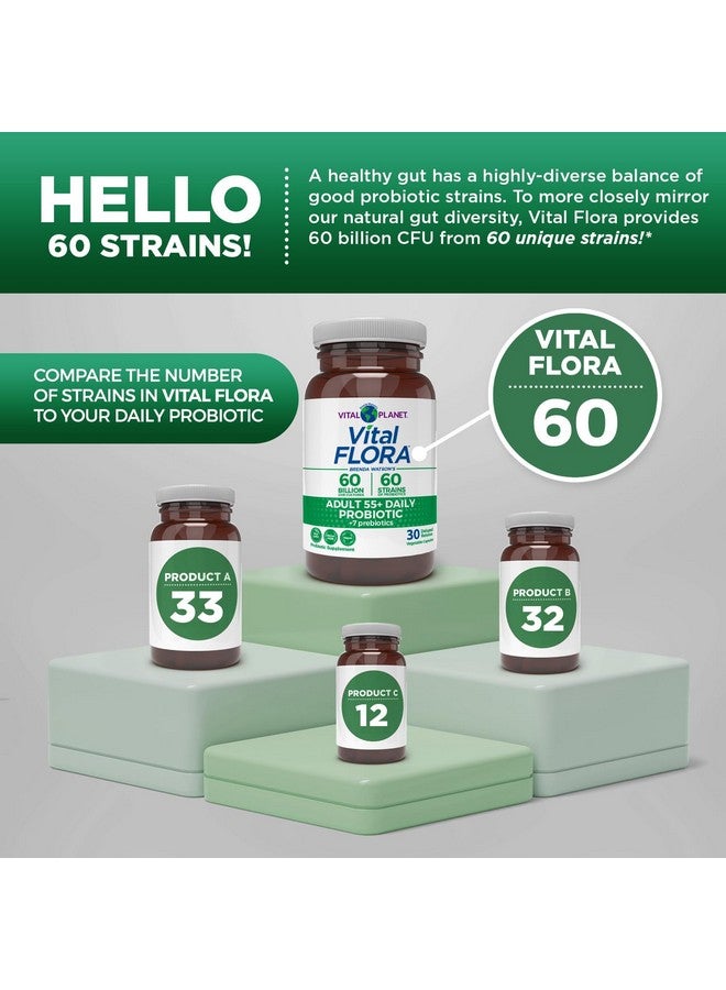 فيتل بلانت Vital Planet - Vital Flora Adults Over 55 Daily Probiotic 60 Billion CFU، سلالات متنوعة، بريبايوتيك عضوي، دعم المناعة، تخفيف الغازات، صحة الجهاز الهضمي البروبيوتيك للنساء والرجال 60 كبسولة - Image 4
