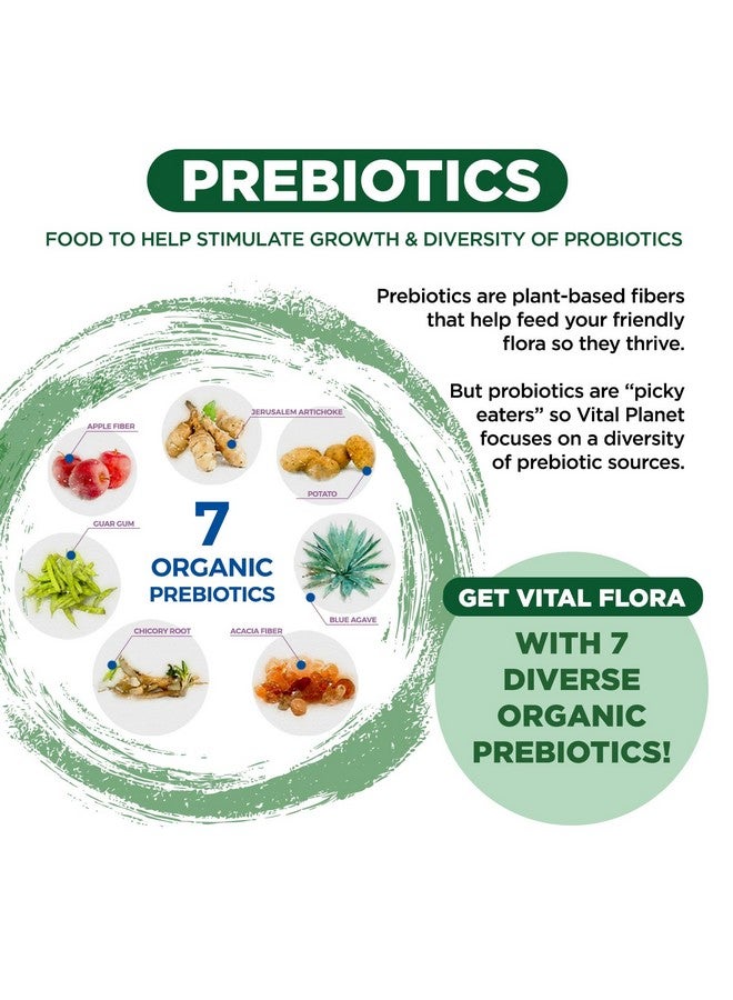فيتل بلانت Vital Planet - Vital Flora Adults Over 55 Daily Probiotic 60 Billion CFU، سلالات متنوعة، بريبايوتيك عضوي، دعم المناعة، تخفيف الغازات، صحة الجهاز الهضمي البروبيوتيك للنساء والرجال 60 كبسولة - Image 5
