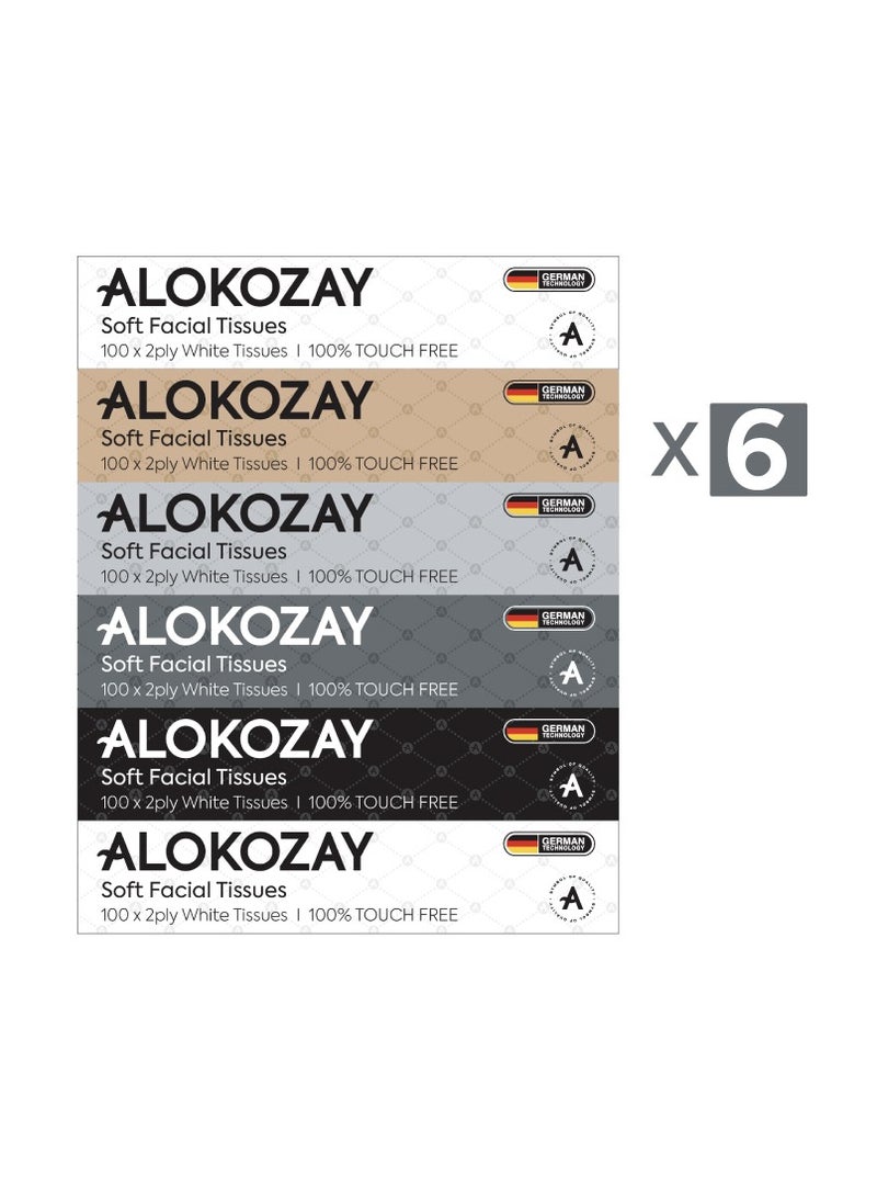 Alokozay Soft Facial Tissues - 100 Sheets X 2 Ply - Image 2