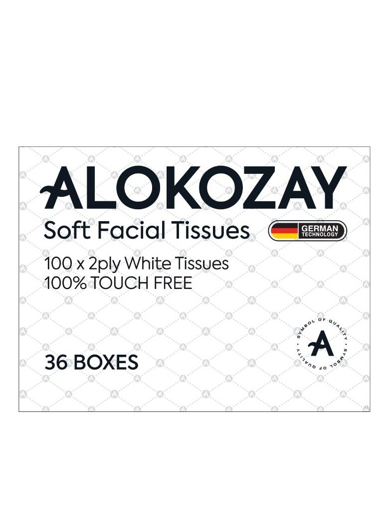 Alokozay Soft Facial Tissues - 100 Sheets X 2 Ply - Image 1