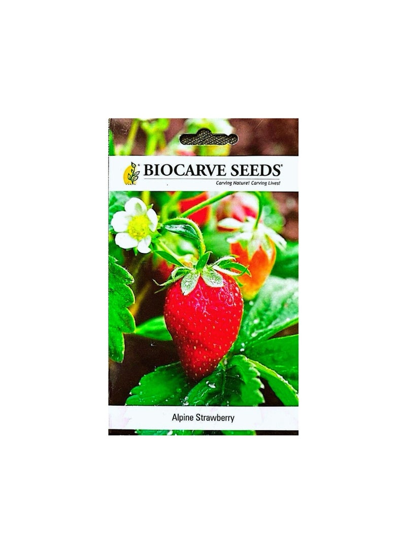BIOCARVE SEEDS Mountain strawberry seeds 