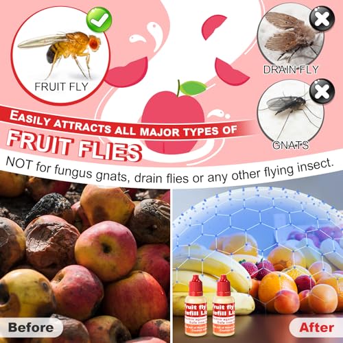 Qualirey 8 Pack Fruit Fly Trap Refill Liquid, 0.68oz/ Bottle Liquid Fruit Fly Traps for Indoors Non Toxic Safe Near Food, Effective Lure Refill for Indoor and Kitchen Use, Red - Image 4