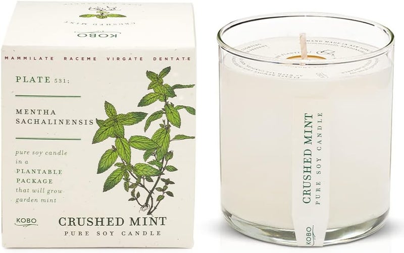 KOBO Crushed Mint Scented Candle with Plantable Box (9 oz) | Plant The Box Collection, 100% Pure Soy Wax Candles | Hand-Poured in USA | Long Lasting 60 Hour Burning Candles | Scented Candles for Home - Image 1