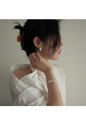 Daniel Wellington Quadro Mini Womens Watch 154x182mm Square Case Japanese Quartz Movement Stainless Steel Mesh Strap Water Resistant Rose Gold Watch for Women Evergold Blush - Image 3