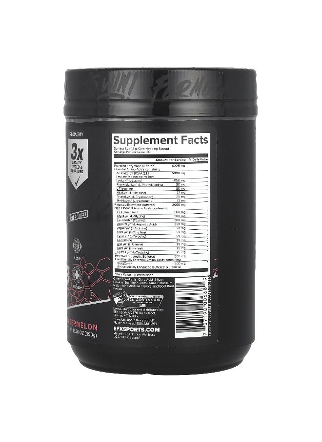 EFX SPORTS EFX Sports, AminoZorb® Elite 21, Watermelon, 13.76 oz (390 g)  - Image 2