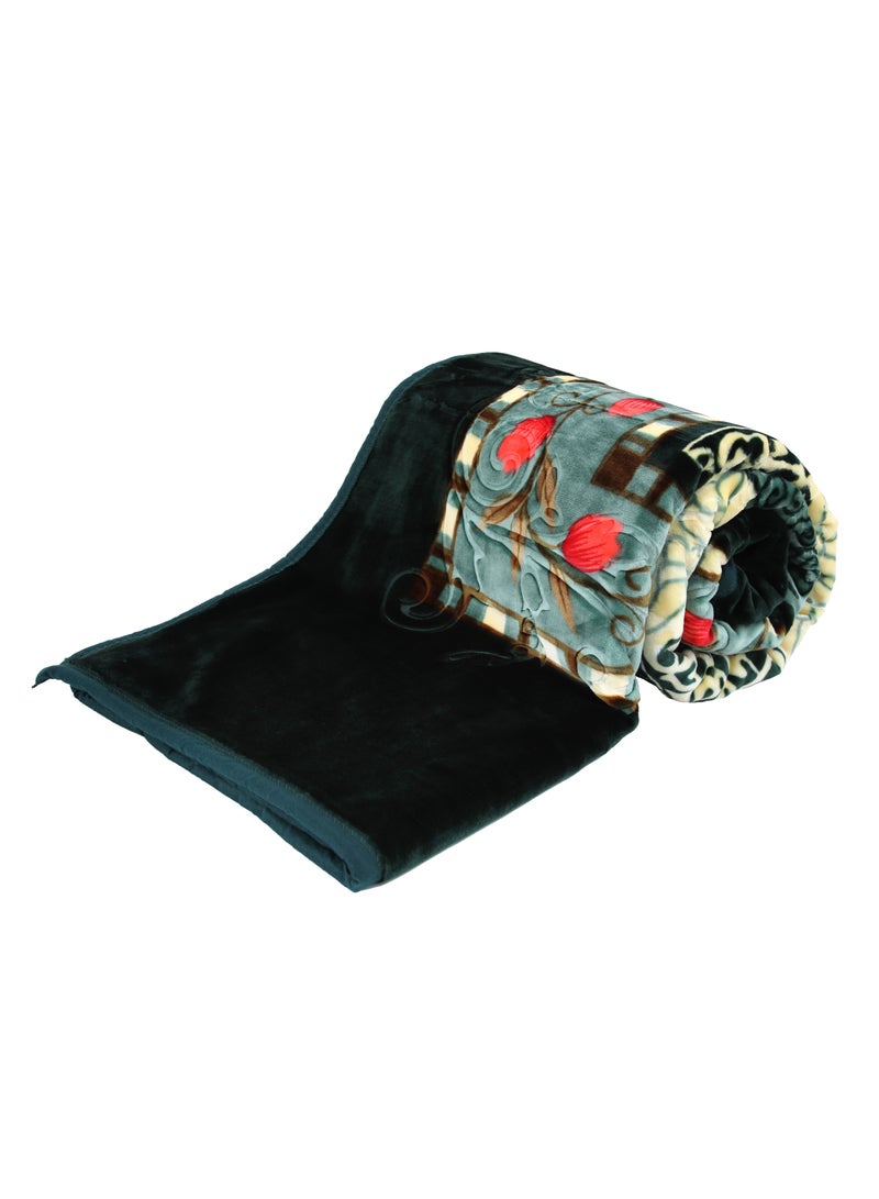 ستارجولد بطانية فائقة النعومة مطبوعة مزدوجة الطبقات من طبقتين ذات جودة ممتازة 11 رطل - Image 4