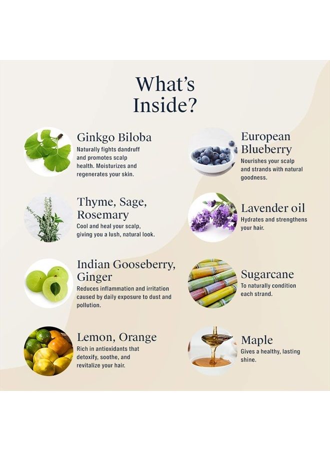 ARATA ثنائي إصلاح الأضرار الطبيعية للرجال والنساء مع شامبو وبلسم مرطب | طبيعي بالكامل وخالي من القسوة | غير سام، قائم على النباتات لإصلاح الأضرار اليومية - Image 3